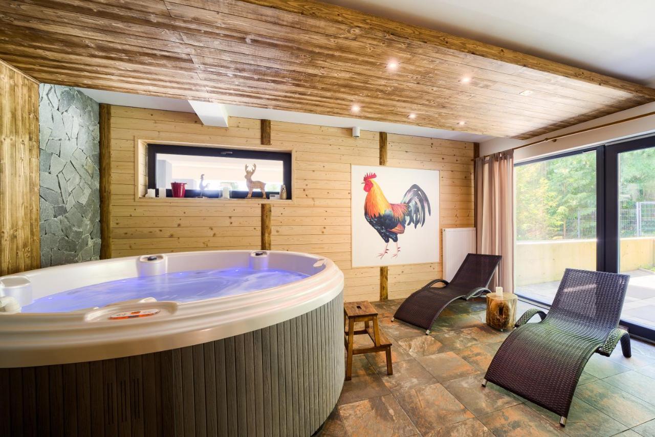 Wellness Apartamenty Zloty Widok Щирк Экстерьер фото